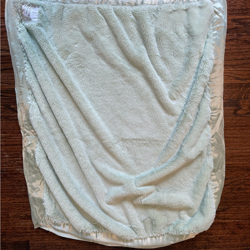 - Little giraffe plush blanket
